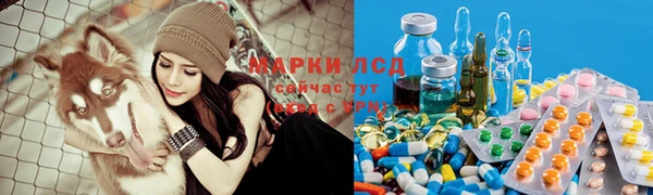 Альфа ПВП Каменногорск