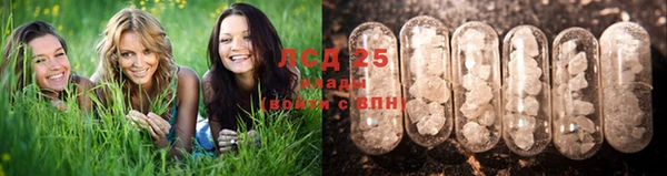 дурь Каменск-Шахтинский