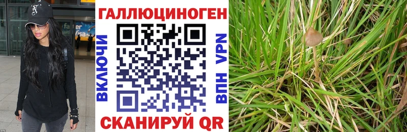 Купить  Алексеевка  Галлюциногенные грибы мухоморы 